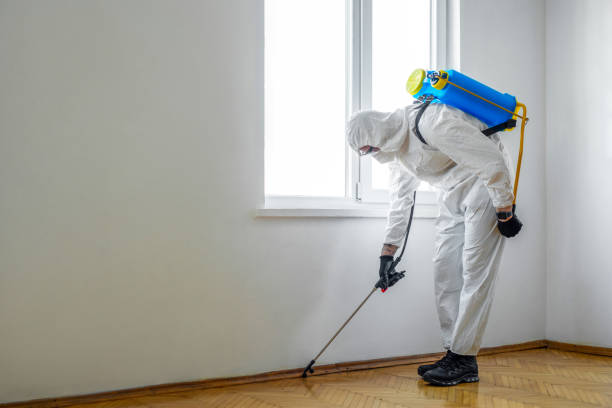 Reliable Sharon, PA Pest Control Solutions